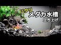 メダカ 水槽 石 203598