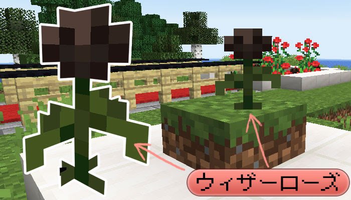 マイクラ 黒いバラ ウィザーローズ の効果と入手方法 たくさん集める方法も マイクラモール