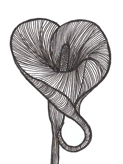 flower line clip art. Free clip art, outline drawing