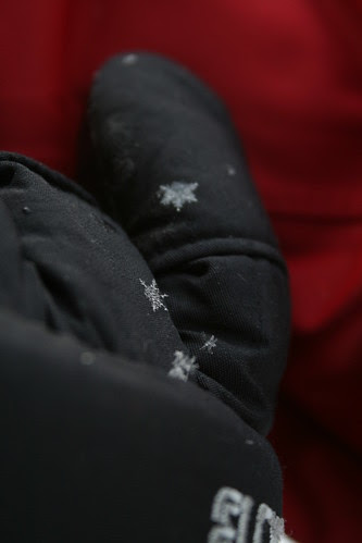 Snowflakes