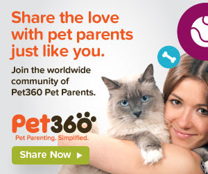 Pet360 Community
