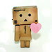 danbolove_logo