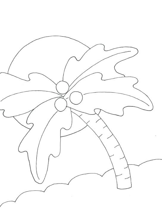 Palm Tree Leaves Coloring Pages at GetColorings.com | Free ...