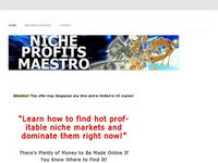 Niche Profits Maestro