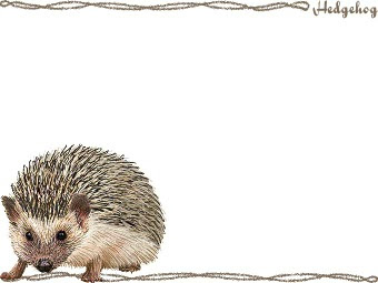 針鼠 ハリネズミのイラスト 条件付フリー素材集
