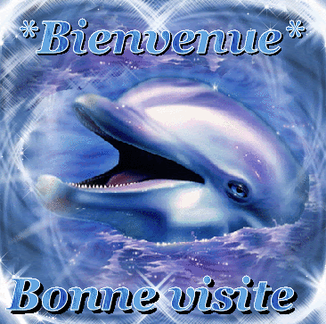"Bienvenue. Bonne visite" - Gentil dauphin...