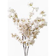 Amazing! 55+ Amazon Home Decoration Flowers