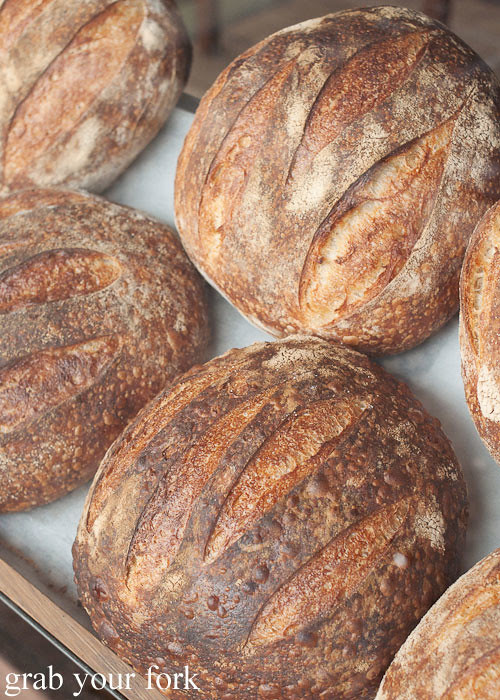 sourdough bread at brickfields chippendale