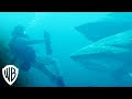 @film kijken !! Deep Blue Sea 3 (2020) (België Versie) dutch "Actie"