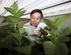 Desenvolvida primeira alternativa real aos antibióticos