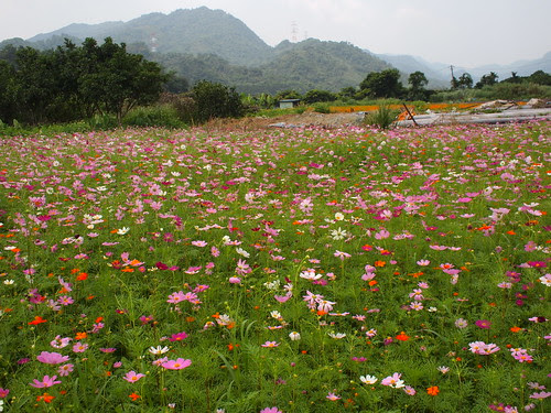 2010-05-19 三貂角燈塔