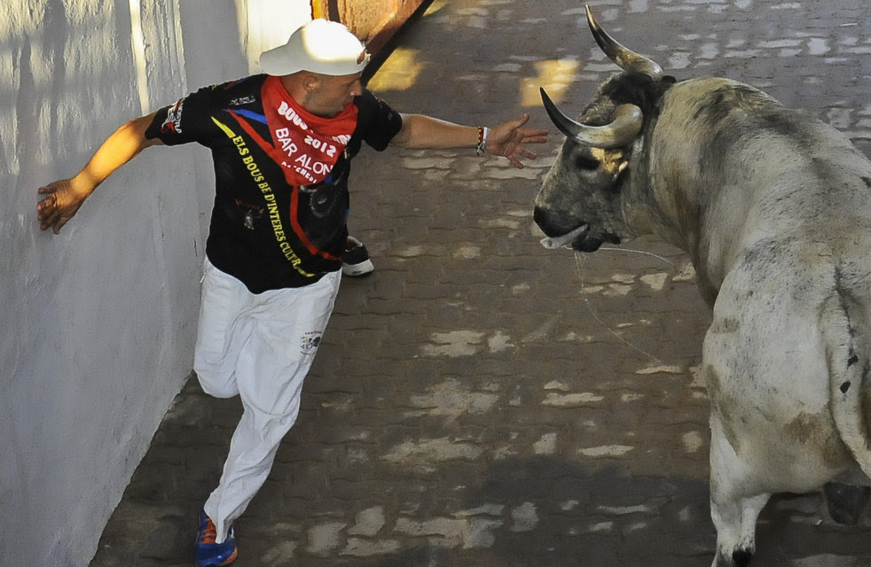 san_fermin_bulls_2013_03.jpg