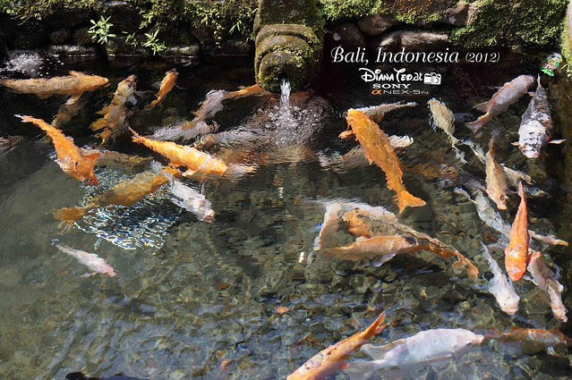 Bali Day 2 Tampak Siring Presidential Palace 03