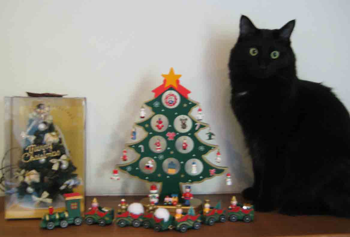 ３回目のクリスマス: MimiＰonDiary