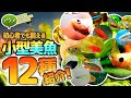 √画像をダウンロード 熱帯魚 綺麗 小型 555414