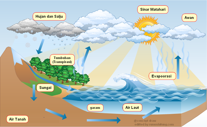 Belajar Mengenal Siklus air | Cari Ilmu