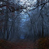 Dual Screen Wallpaper 3840x1080 Desktop Dual Monitor 3840x1080
Wallpapers