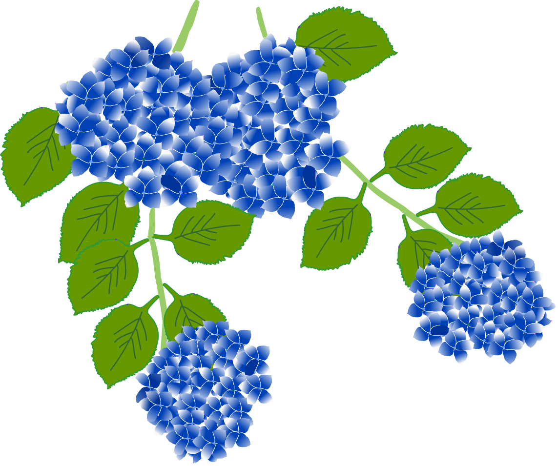 夏 夏景色 夏の花 イラスト 無料