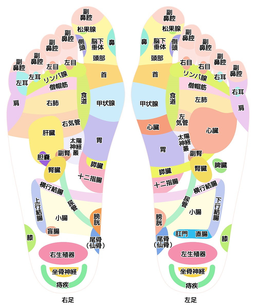 足つぼ図 図解でマッサージ 足つぼcafe