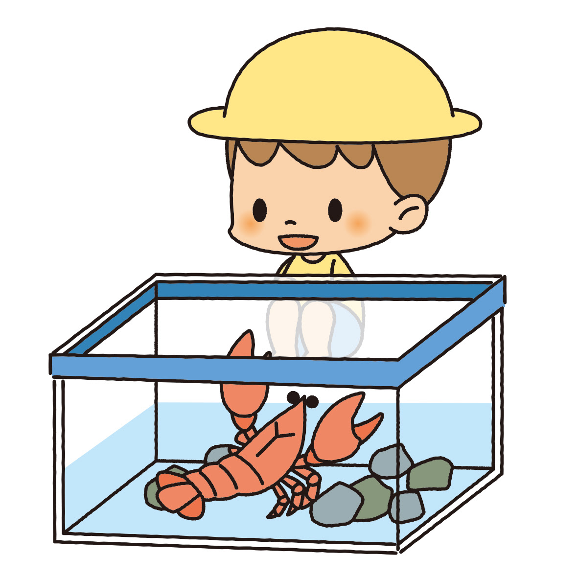 意外と大人に人気 ザリガニの特徴と飼う際の注意点をご紹介します