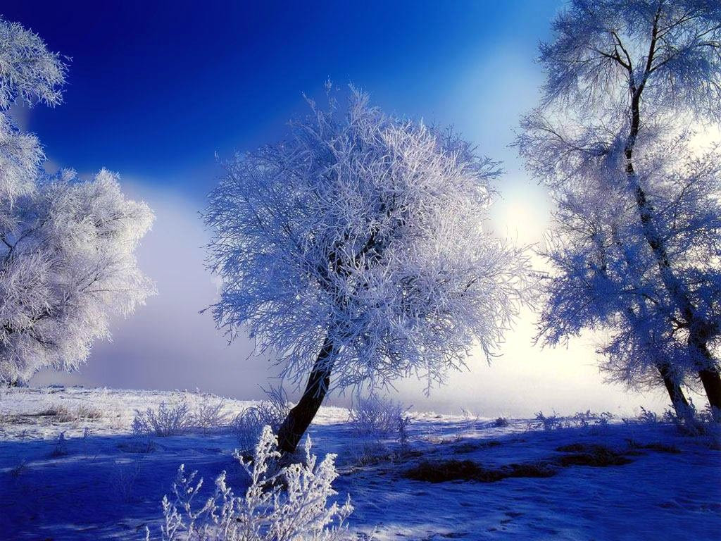 http://25.media.tumblr.com/tumblr_lxifkynSg61r91grbo1_1280.jpg