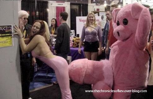 pink pig