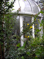 Enchanting Conservatory! 3