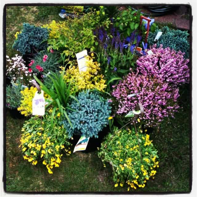 perennial garden plans for partial sun or shade - pretty