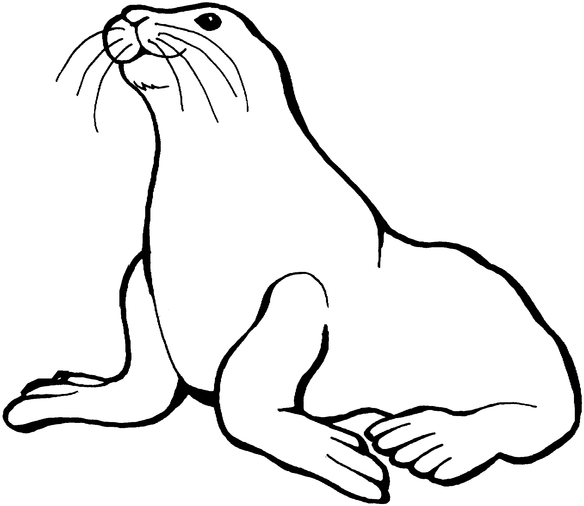 Free Cute Seal Coloring Download Free Clip Art Free Clip Art On Clipart Library