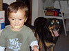 Biscuit Bandit