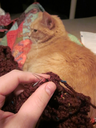 back at the sweater again...this time with a partner