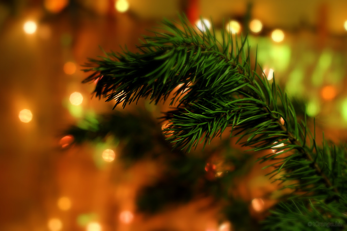 クリスマス 赤 緑 白 色の秘密 Alg