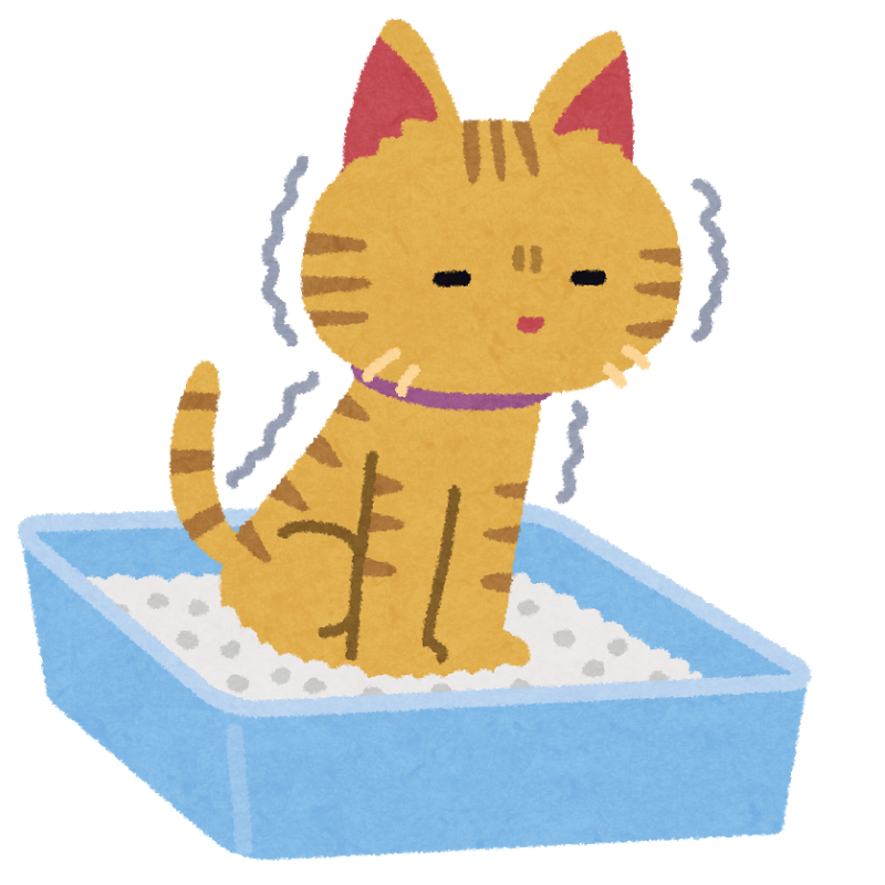 面白ねこ雑学 猫のお腹に頭に肉球 なぜこんなにもいい匂い 猫の総合情報サイト ペットスマイルニュースforネコちゃん
