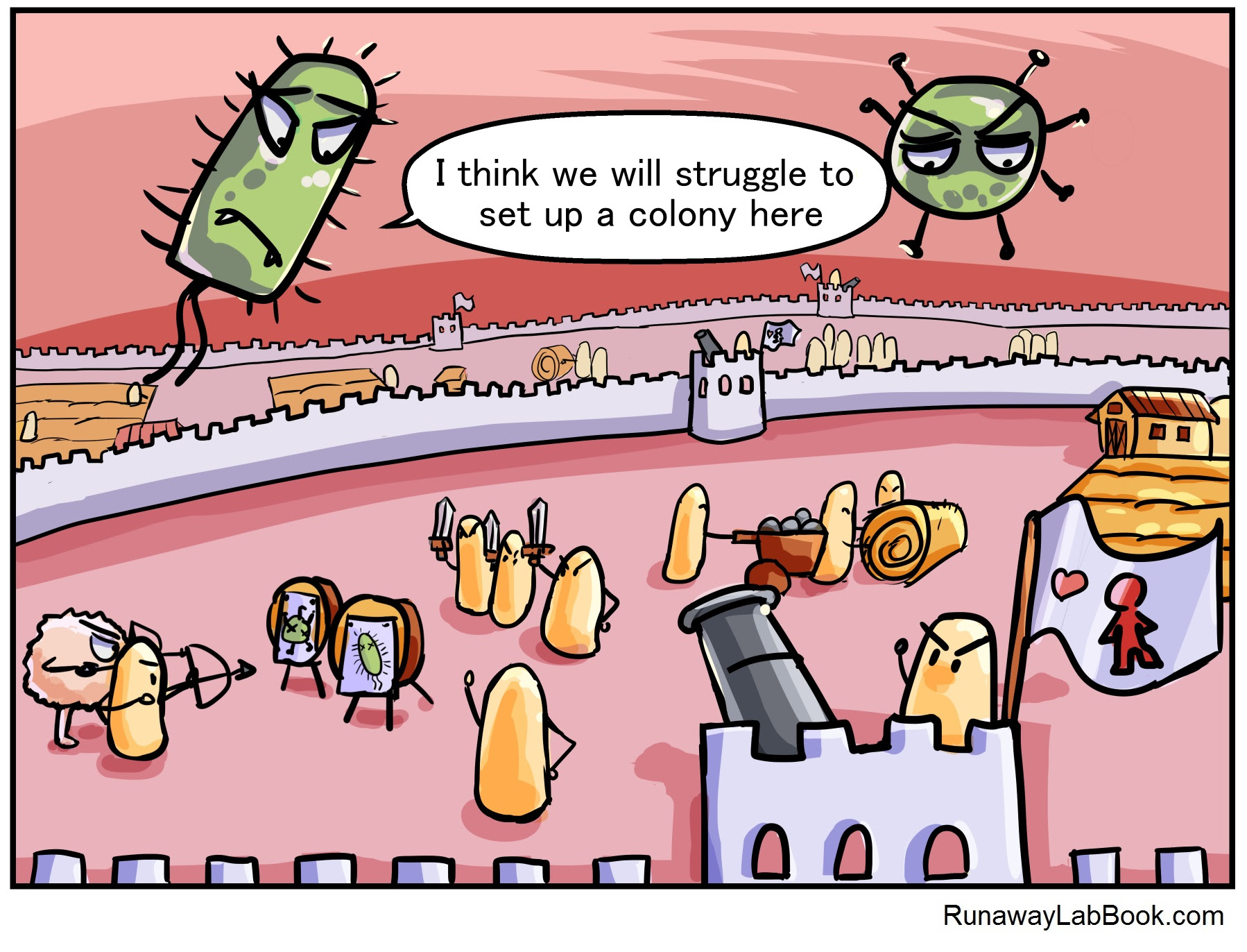 Image result for army immune system