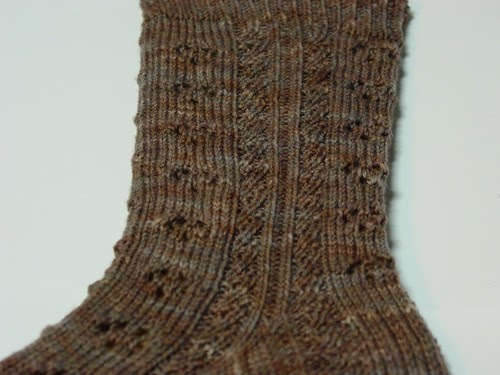 Raining Cats & Dogs Sock Sample