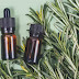 How to make Rosemary Oil serum for quick hair regrowth