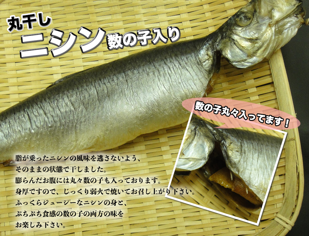 海産物通販の海夢 ニシン 丸干し 熟成品 数の子入り 干物 鰊 にしん 丸干し 2尾