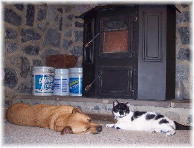 Roxie and Dottie in front of stove