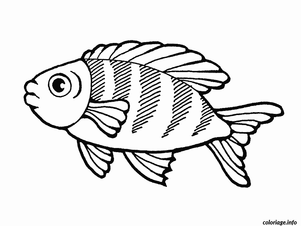 Coloriage poisson 26  JeColorie.com