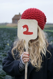 polder