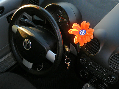 VW flower