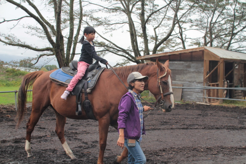 乗馬メニュー 蓼科乗馬ファーム