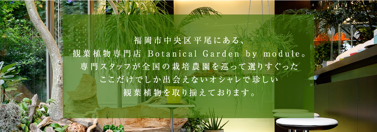Module フロリステ モデュール 福岡 薬院の花屋 ブライダルフラワー専門店