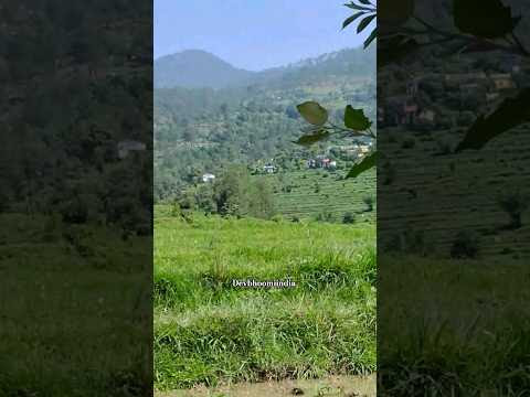 चित्र