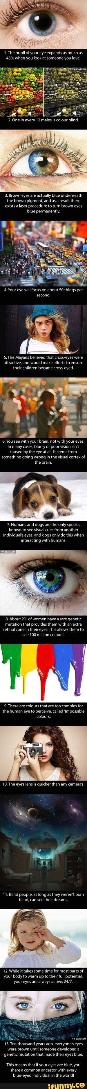  1 the pupil of your eye expands as much as 45 when you look at