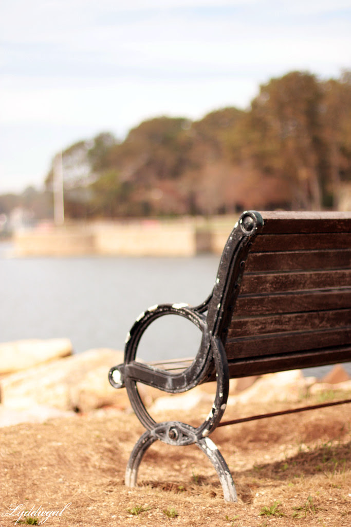 Beach bench