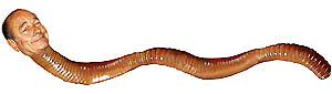 Jackanapes Chirac the worm boy