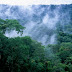 Location Of Tropical Rainforest In Africa : Index of /images/countries/africa : The island of madagascar is home to many unique plants and animals not found anywhere else.