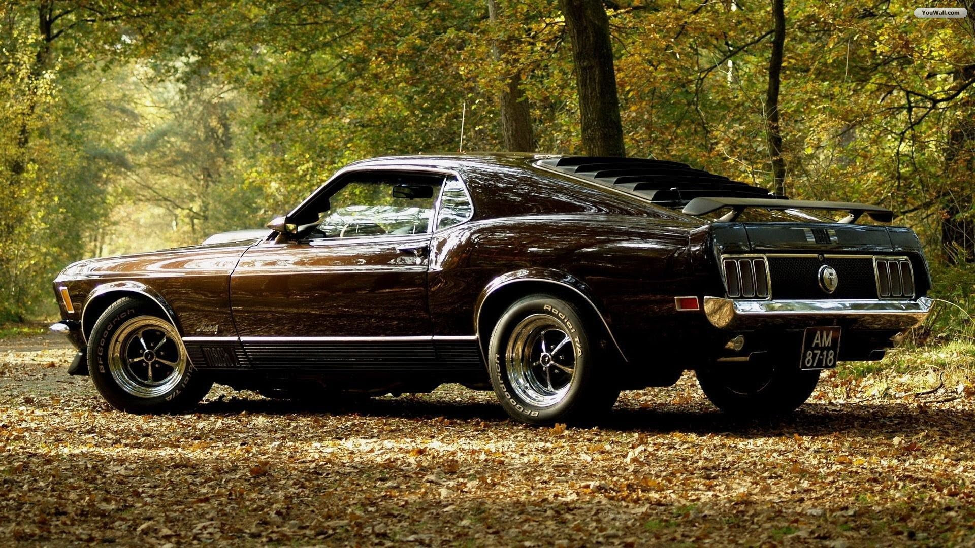 Mustang HD Wallpaper High Quality | PixelsTalk.Net