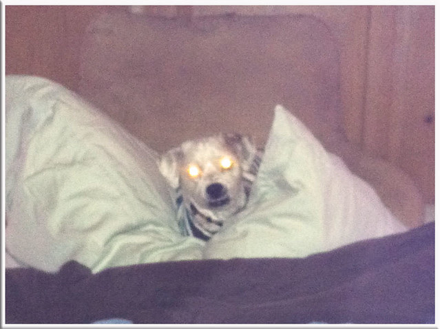 MagicHealingEyes_1